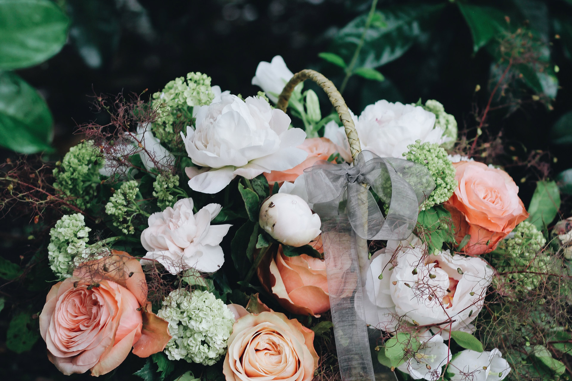Flower Blossom In Yosemite
